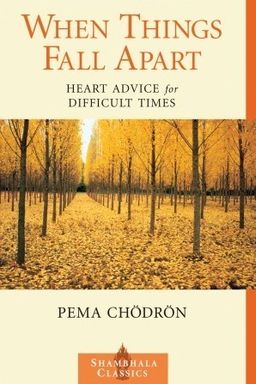 When Things Fall Apart cover