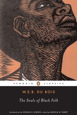 The Souls of Black Folk cover