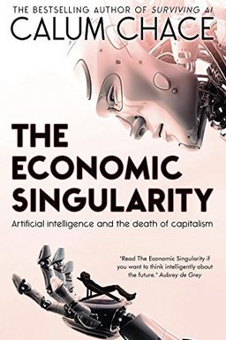 The Economic Singularity cover