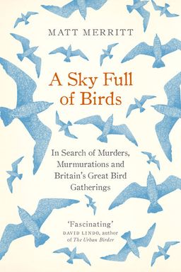 A Sky Full of Birds cover