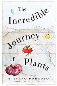 The Incredible Journey of Plants