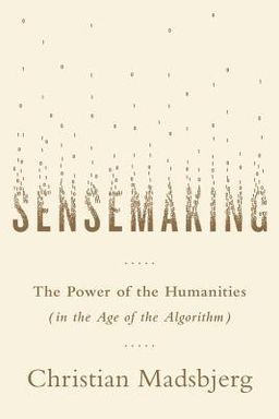 Sensemaking cover