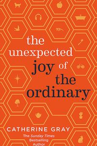 The Unexpected Joy of the Ordinary