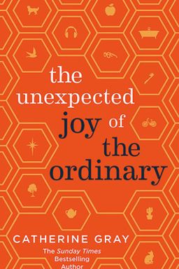 The Unexpected Joy of the Ordinary cover