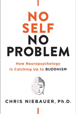 No Self, No Problem cover