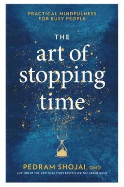 The Art of Stopping Time cover
