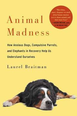 Animal Madness cover