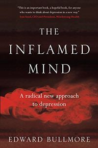 The Inflamed Mind