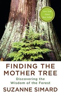 Finding the Mother Tree