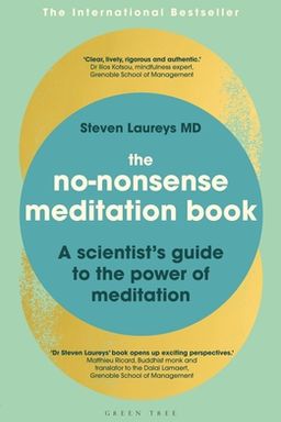 The No-Nonsense Meditation Book cover