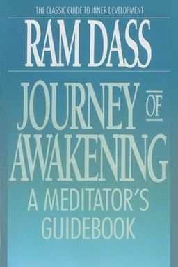 Journey of Awakening cover