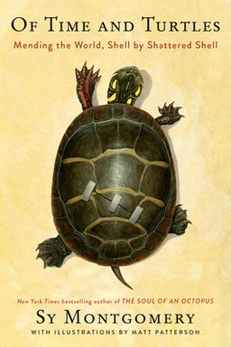 Of Time And Turtles cover