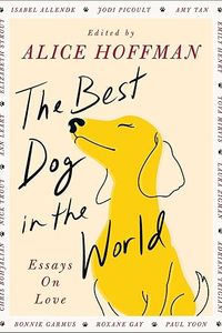 The Best Dog In The World