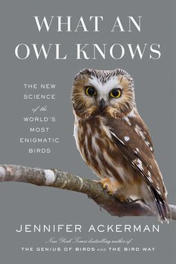What An Owl Knows cover