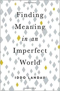 Finding Meaning in an Imperfect World