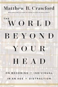 The World Beyond Your Head